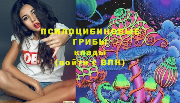 СК Корсаков
