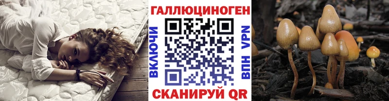 Купить  Петровск-Забайкальский  Галлюциногенные грибы ЛСД 